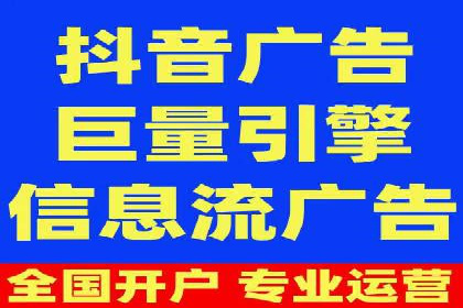 案例对比：不同竞价广告平台的优劣
